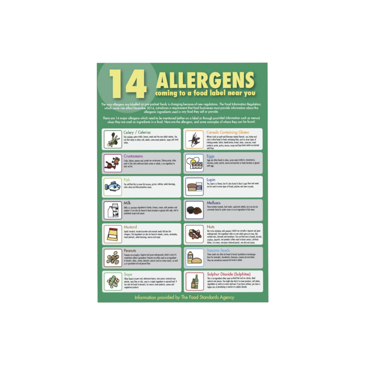 The 14 Allergens Guide for Staff Notice - Vinyl