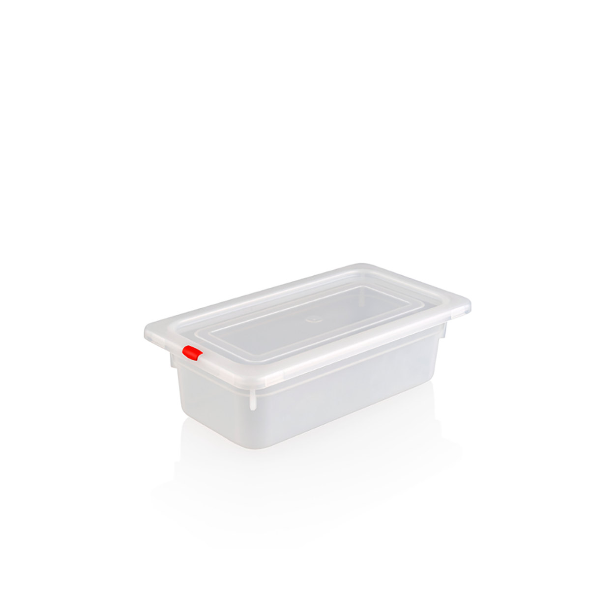 1/3 Polypropylene Gastronorm 325x176x100mm