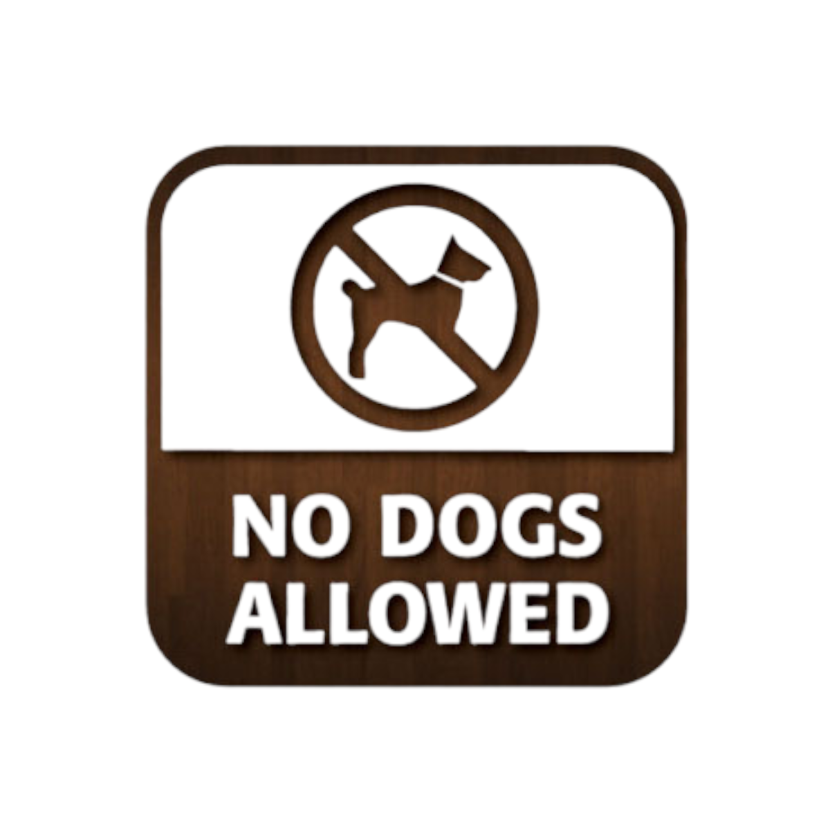 No Dogs Alloved 80x80mm Window Sticker Ca003